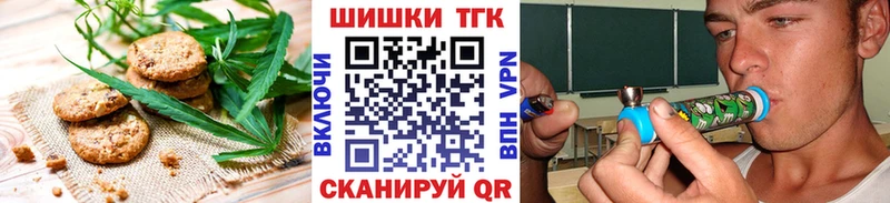 продажа наркотиков  Гаврилов Посад  Canna-Cookies марихуана 