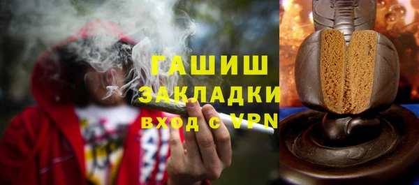 прущие грибы Алзамай