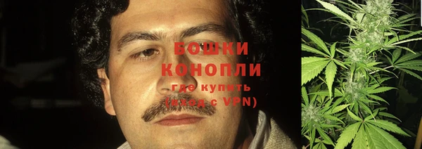 прущие грибы Алзамай