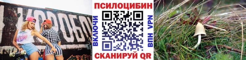 Галлюциногенные грибы ЛСД Гаврилов Посад